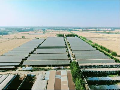 梁山縣畜光互補光伏發電項目